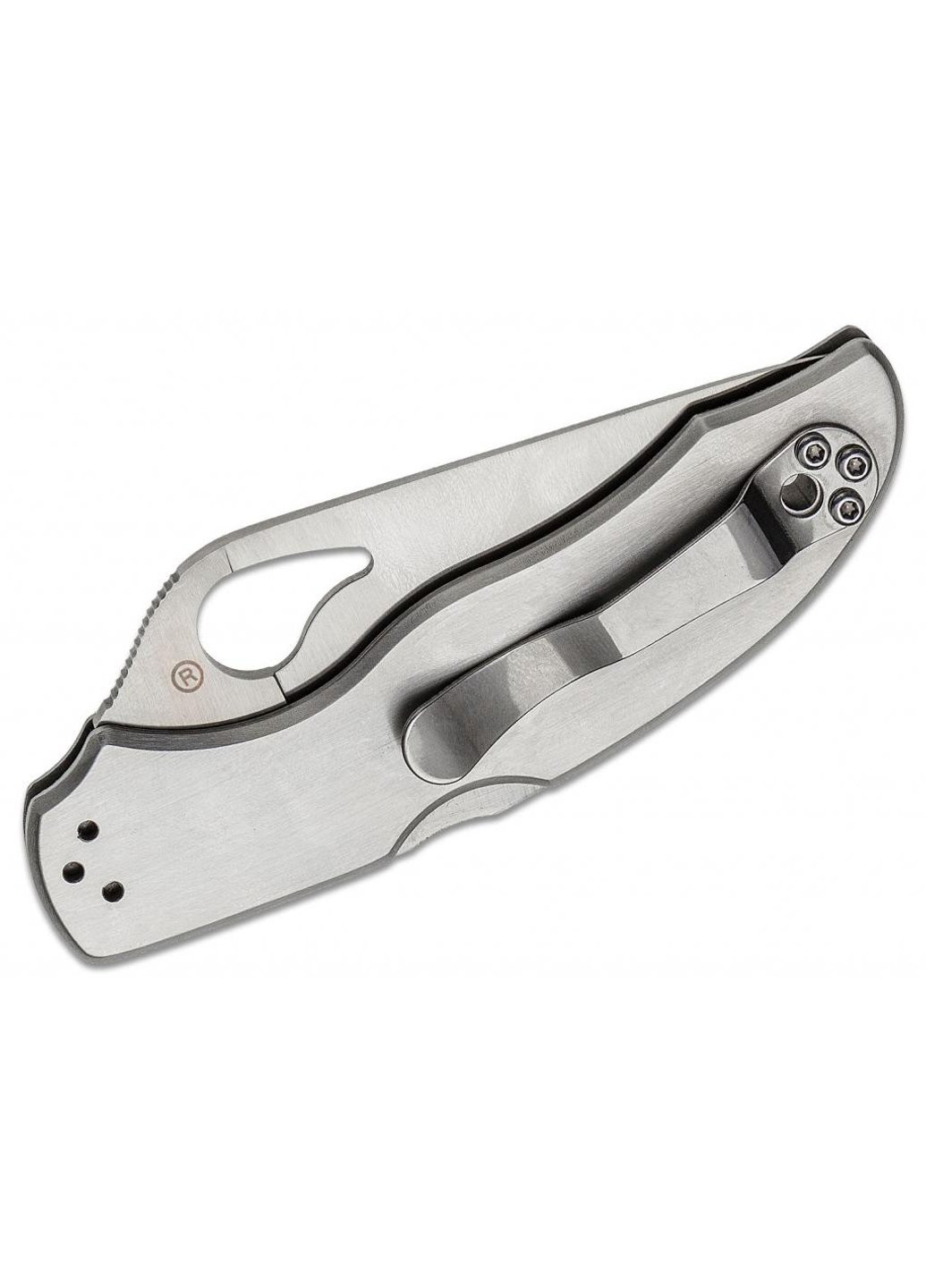 Ніж Byrd Harrier 2 (BY01P2) Spyderco (257223335)