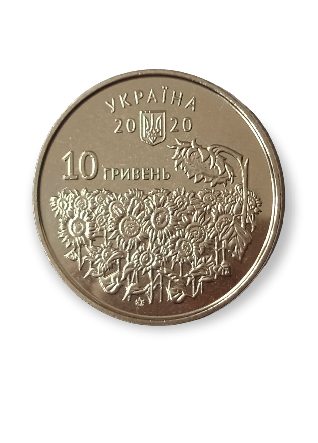 Монета України «День пам`яті полеглих захисників України» Blue Orange (257210493)