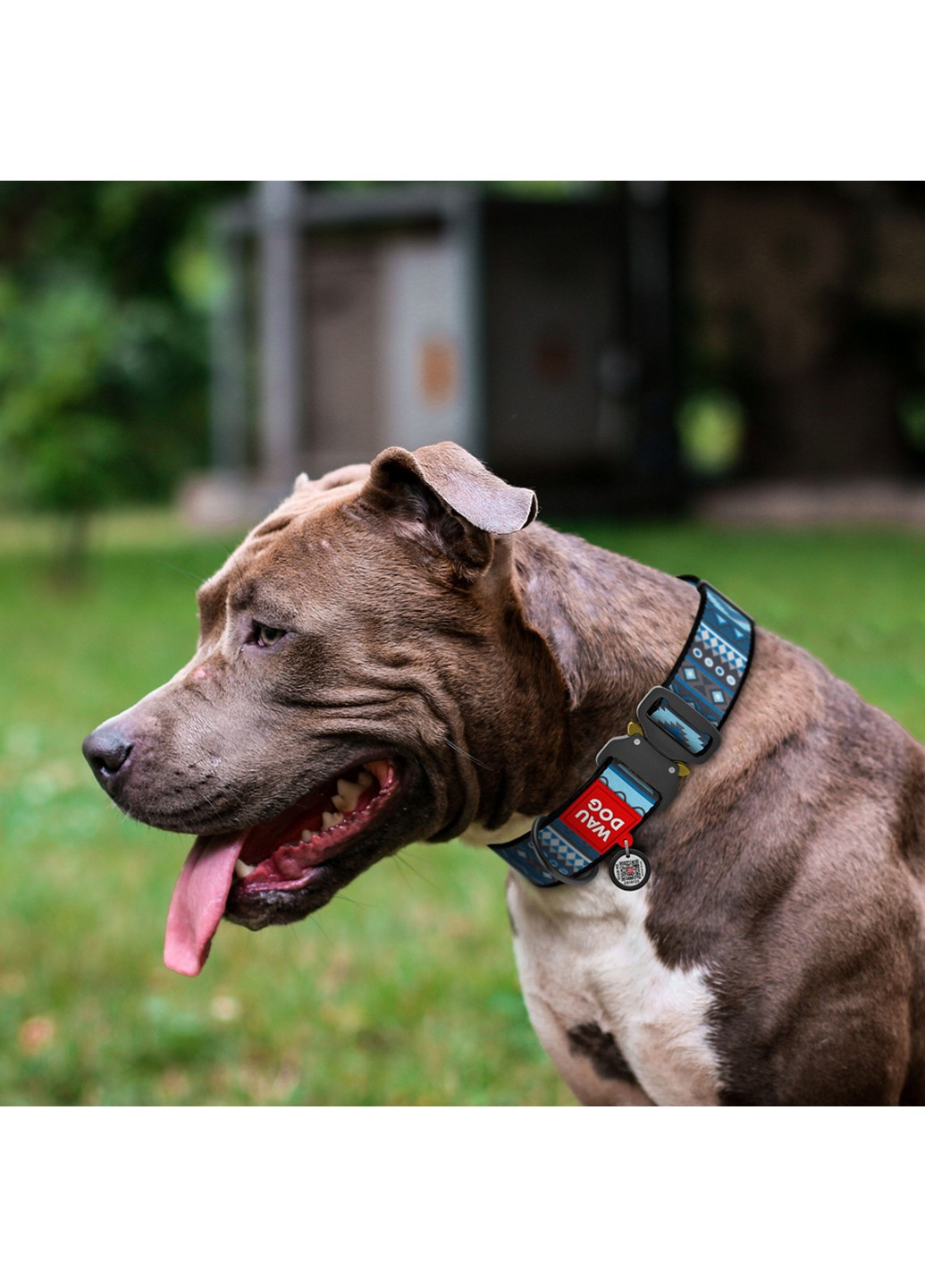 Стильний нашийник для собак нейлоновий з QR паспортом, малюнок "Етно синій" XXL WAUDOG (257248072)