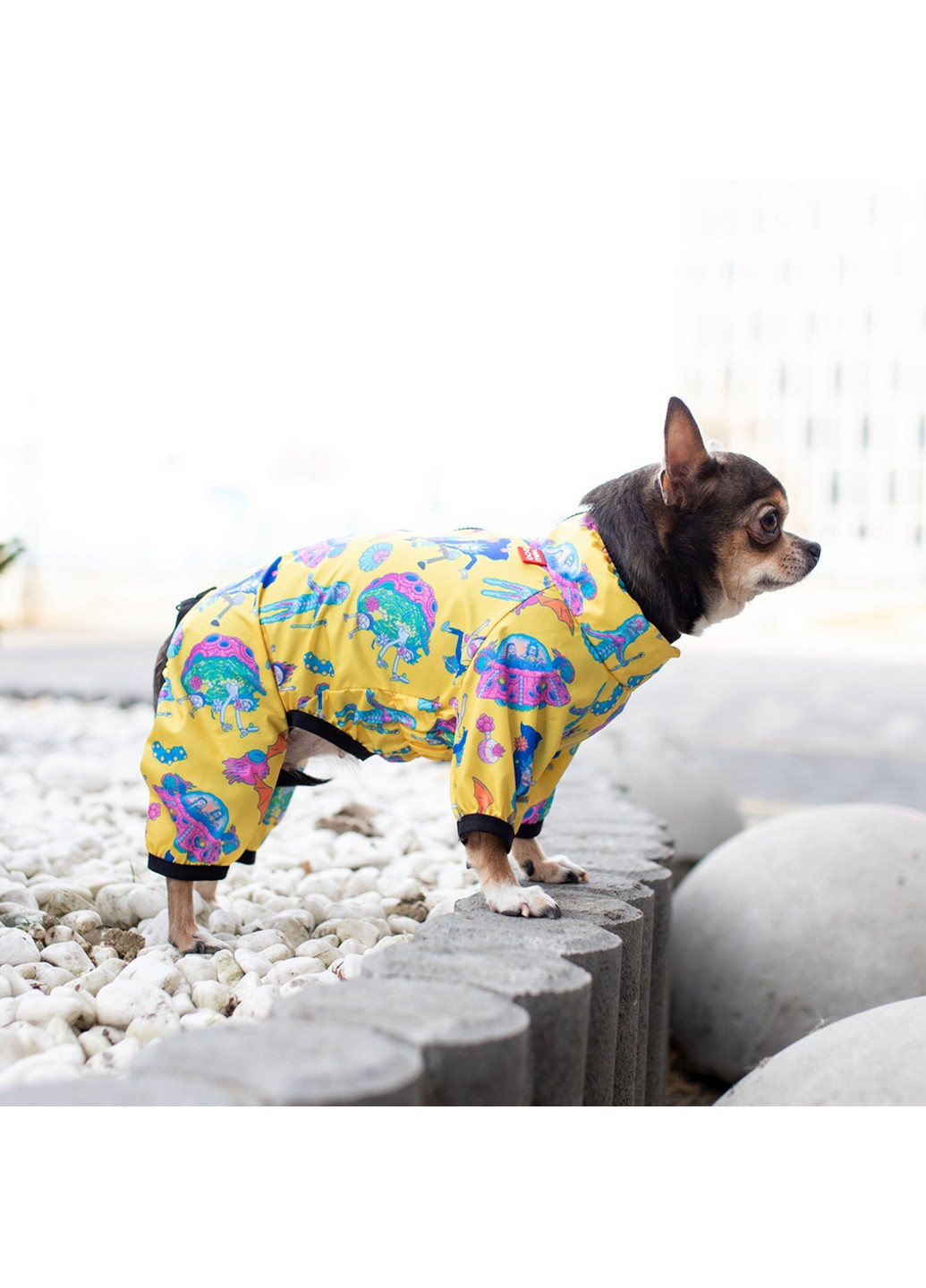 Куртка-дождевик для собак рисунок "Рик и Морти 3" XS22 WAUDOG (257250979)