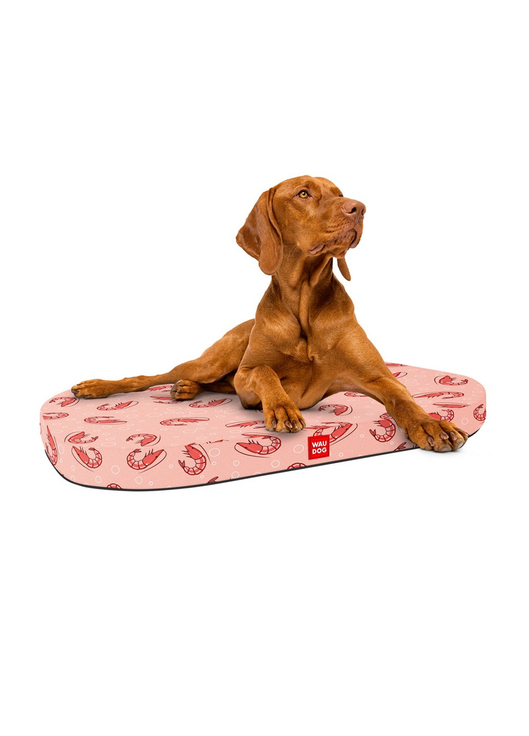 Кровать-лежанка для собак рисунок "Креветка" 40х55 см WAUDOG (257247265)