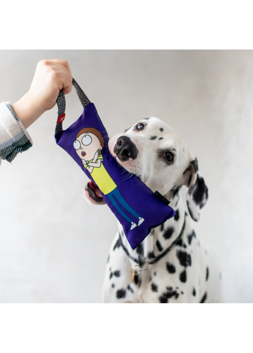 Іграшка з пищалкою, малюнок Рік та Морті 3" для собак 26 см WAUDOG (257246612)
