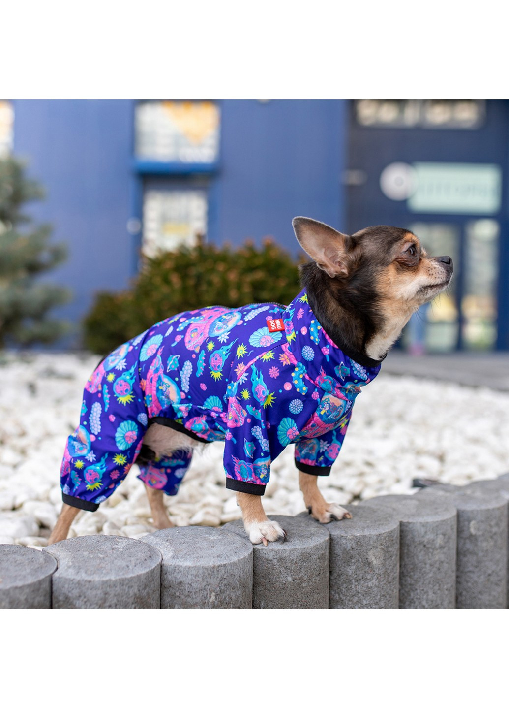 Куртка-дождевик для собак рисунок "Рик и Морти 1" XS30 WAUDOG (257250081)