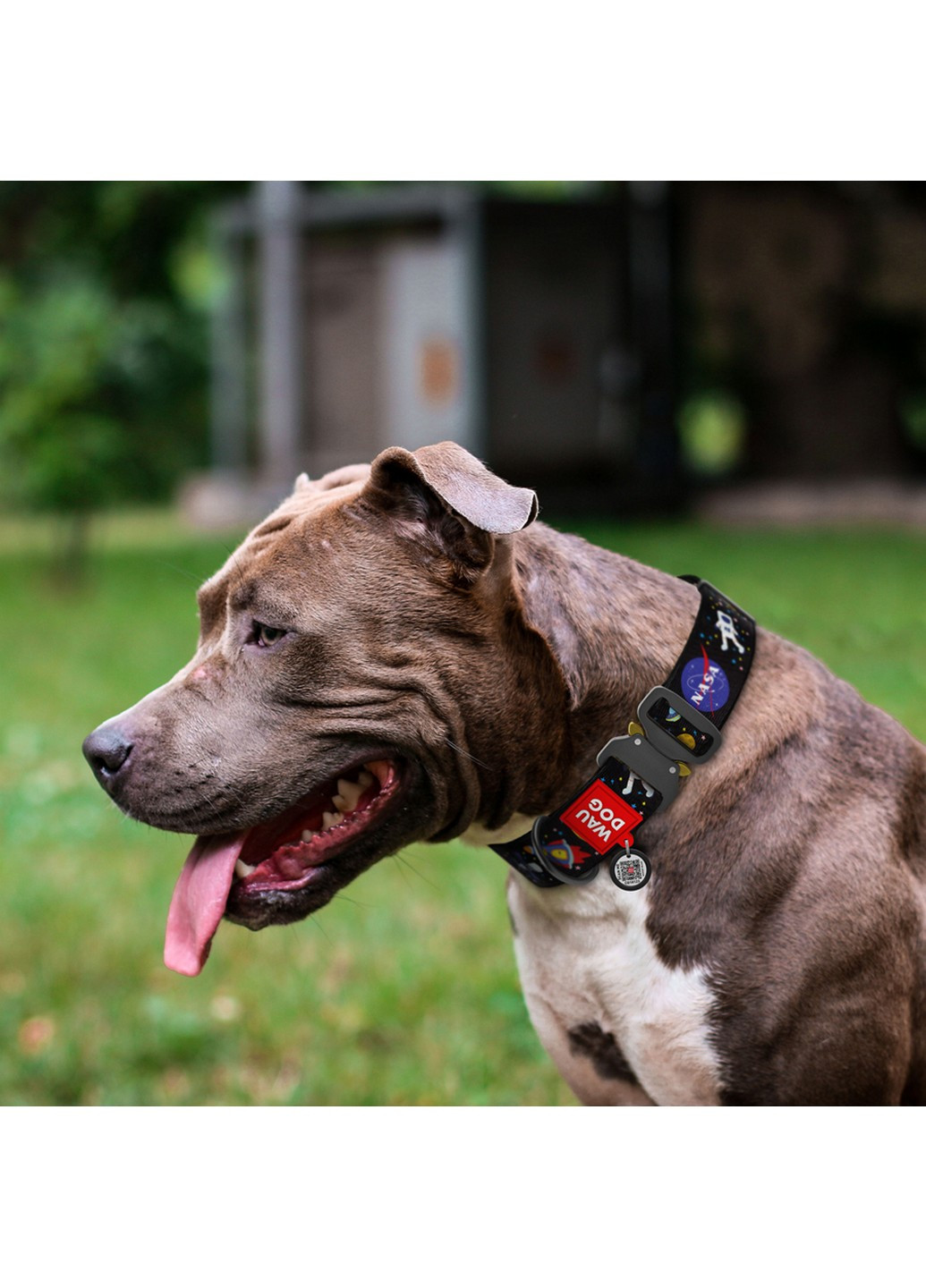 Стильний нашийник для собак нейлоновий з QR паспортом, малюнок "NASA" XXL WAUDOG (257249789)