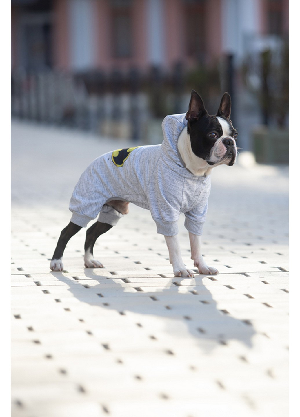 Стильный комбинезон для собак рисунок "Бэтмен лого" XS22 WAUDOG (257249959)