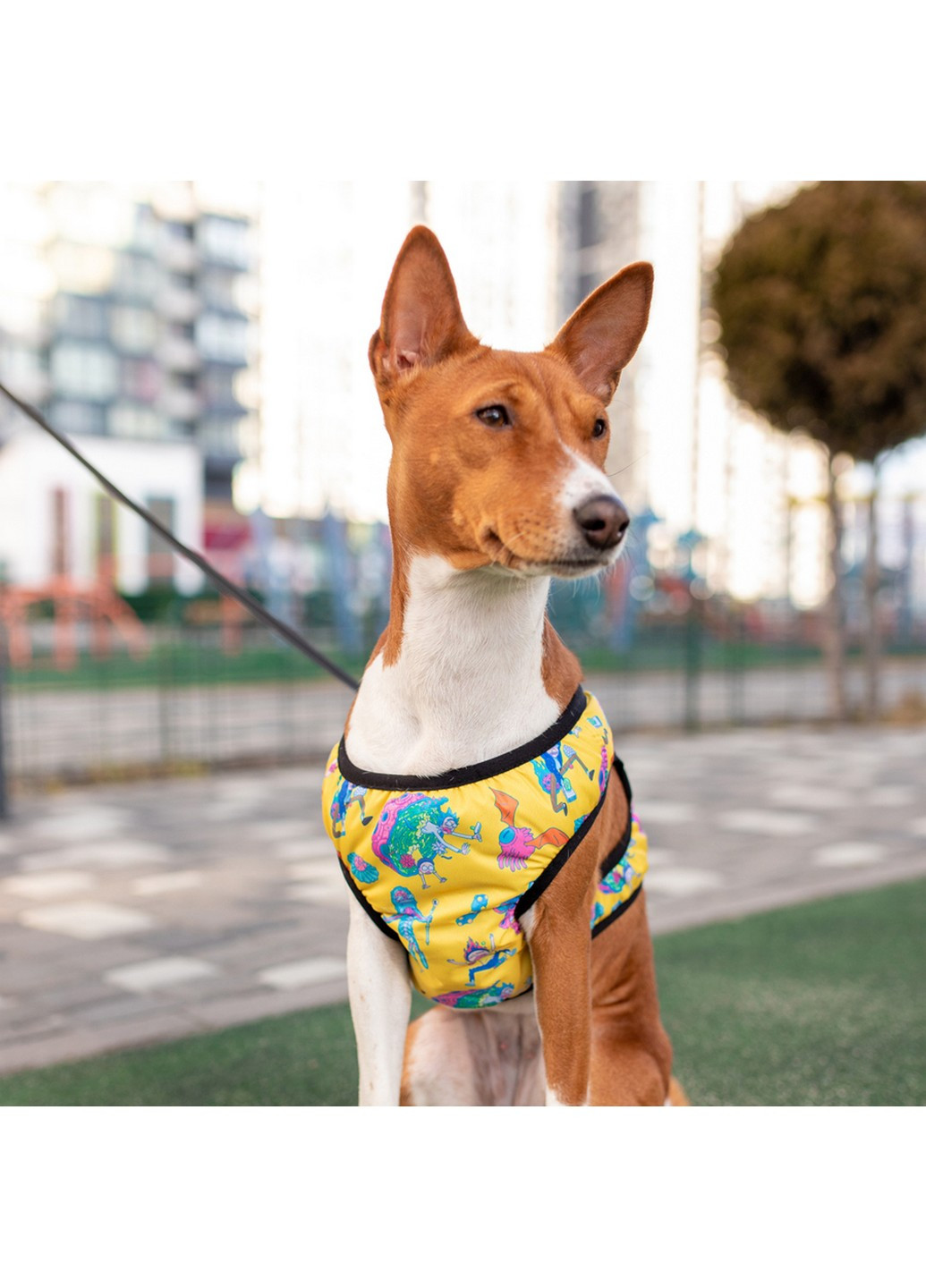 Підтримуюча шлейка для собак м'яка з QR-паспортом, малюнок "Рік та Морті 3" S1 WAUDOG (257247186)