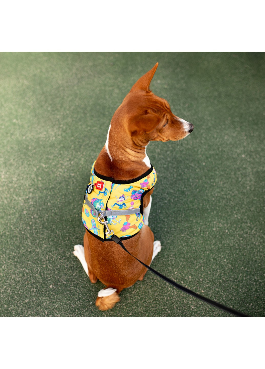 Підтримуюча шлейка для собак м'яка з QR-паспортом, малюнок "Рік та Морті 3" S1 WAUDOG (257247186)