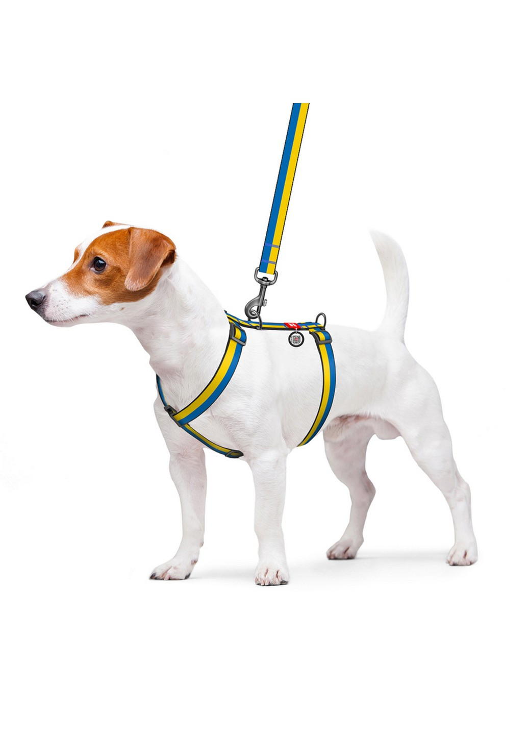 Поддерживающая шлея для собак анатомическая H-образная с QR-паспортом, рисунок "Colors of freedom" M WAUDOG (257247197)