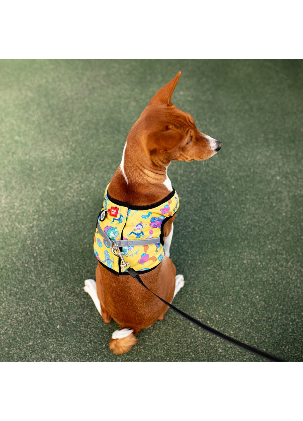 Підтримуюча шлейка для собак м'яка з QR-паспортом, малюнок "Рік та Морті 3" S2 WAUDOG (257249619)