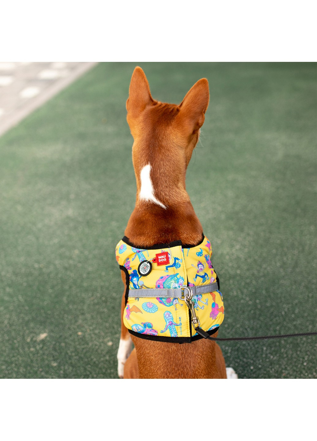 Підтримуюча шлейка для собак м'яка з QR-паспортом, малюнок "Рік та Морті 3" S2 WAUDOG (257249619)