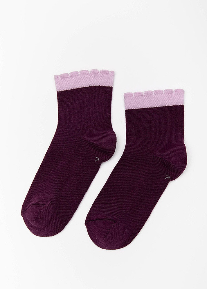 Шкарпетки Yuki (257270350)