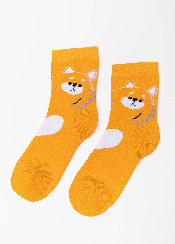 Шкарпетки Лисички Yuki (257270374)