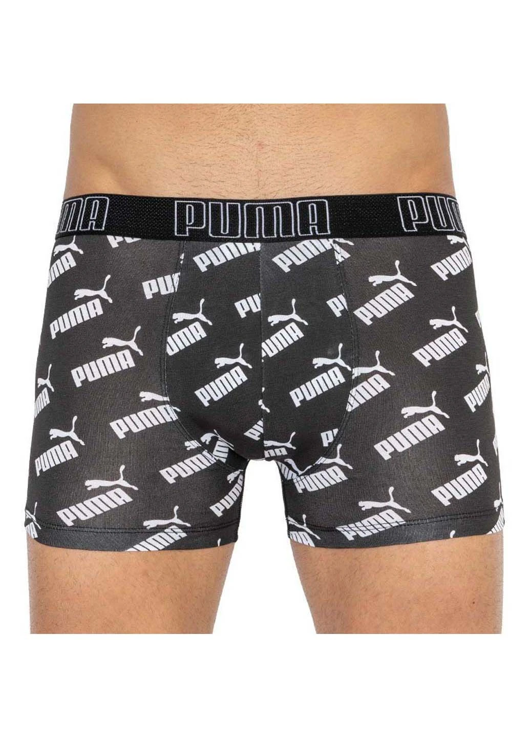 Трусы Puma Big Logo AOP Boxer 2-pack (257339892)