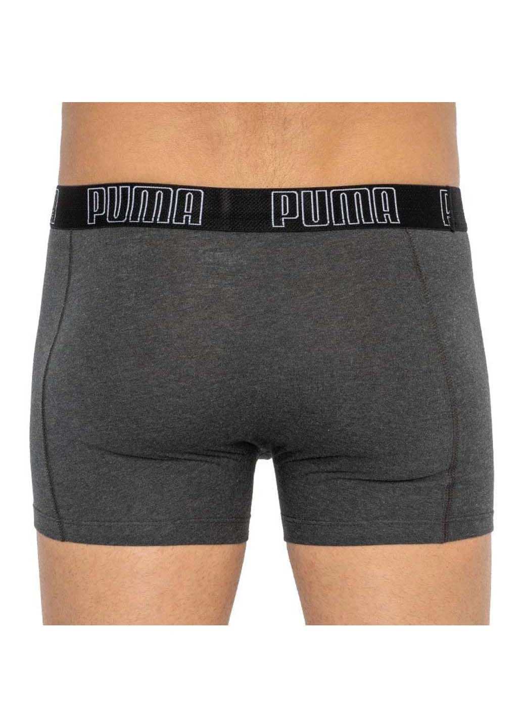 Трусы Puma Big Logo AOP Boxer 2-pack (257339892)