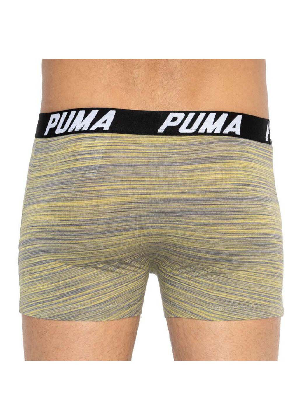 Трусы Puma bold stripe boxer 2-pack (257339887)