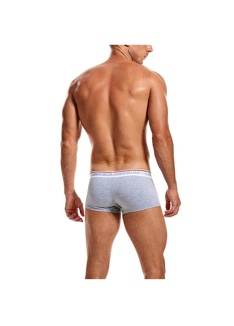 Мужские трусы Lanvibum (257456619)