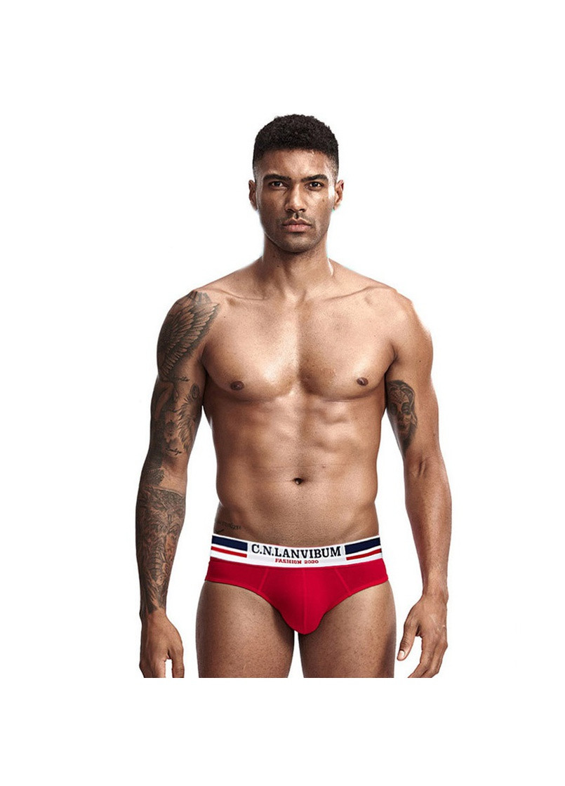 Чоловічі труси Lanvibum (257456608)