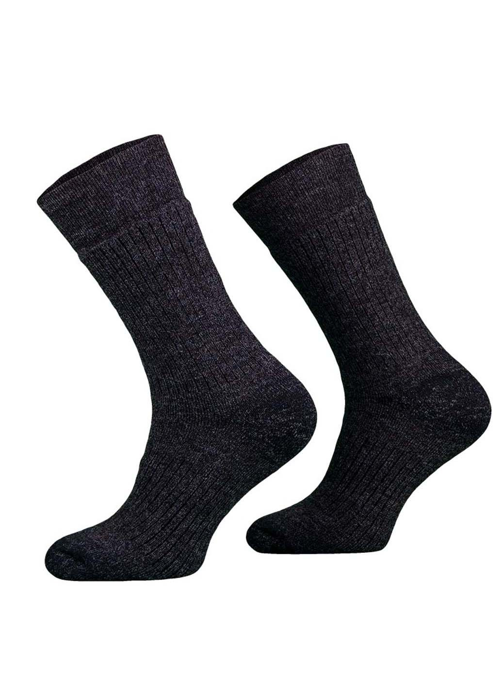 Шкарпетки Comodo (257487823)