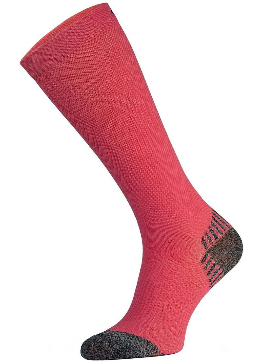 Червоні шкарпетки Comodo (257487837)