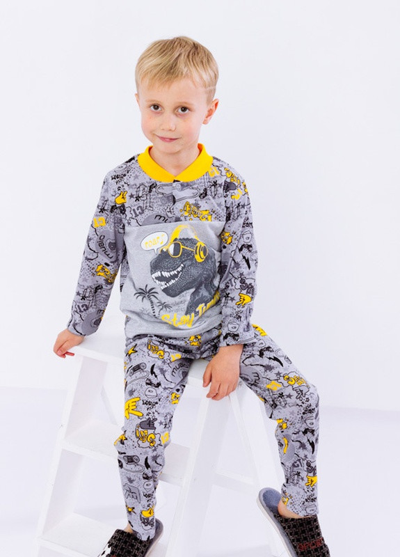 Серая всесезон пижама для мальчика на 2 кнопках динозавр на сером (p-4514-46177) Носи своє