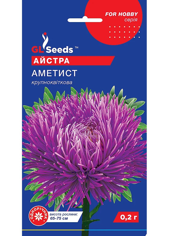 Семена Астра Аметист 0,2 г GL Seeds (257642870)
