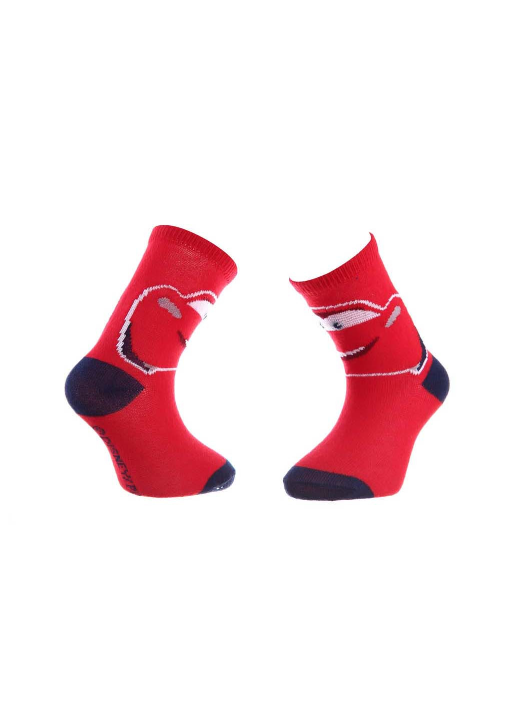 Шкарпетки Disney cars socks (257730572)