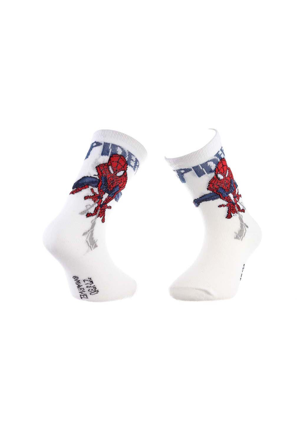 Шкарпетки Marvel spider-man whole + writing (257730638)