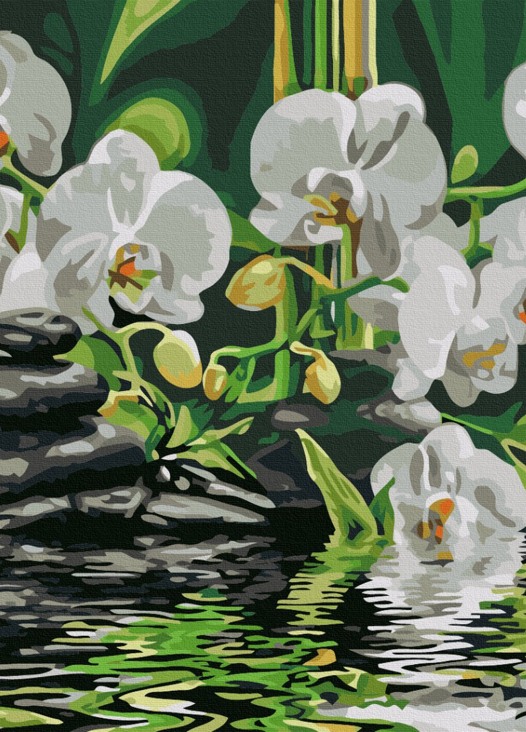 Картина по номерам Спокойствие возле орхидей 40x50 см Brushme (257748875)