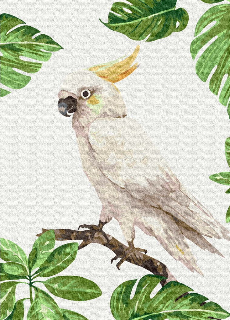 Картина за номерами Білий какаду 30x40 см Brushme (257748598)