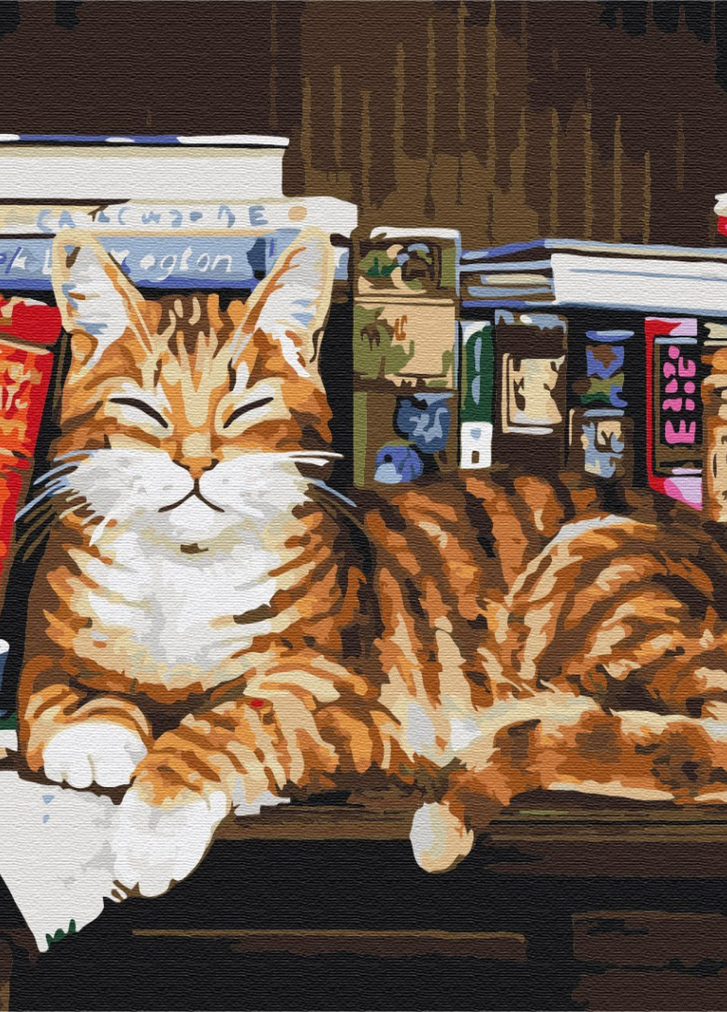 Картина по номерам Кот на книжной полке 40x50 см Brushme (257748890)