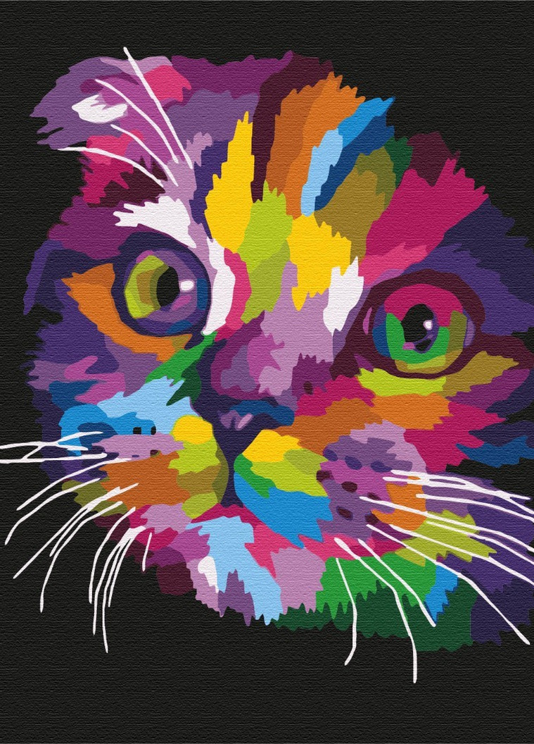 Картина по номерам Радужный котенок 40x50 см Brushme (257748564)