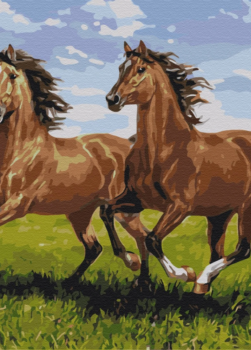 Картина по номерам Скакуны на пробежке 40x50 см Brushme (257749059)
