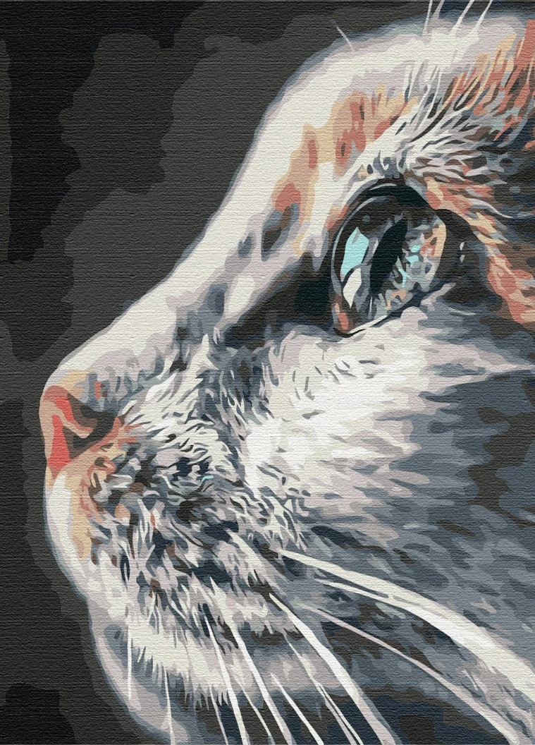 Картина по номерам Котопрофиль 40x50 см Brushme (257750447)