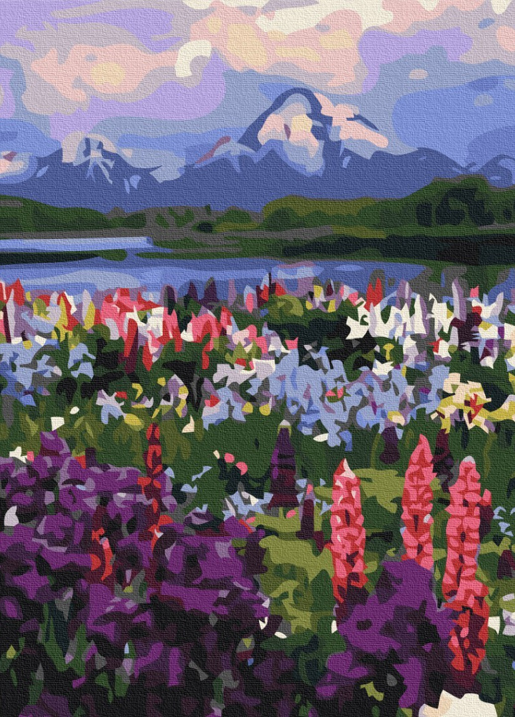 Картина по номерам Долина полевых цветов 40x50 см Brushme (257750379)