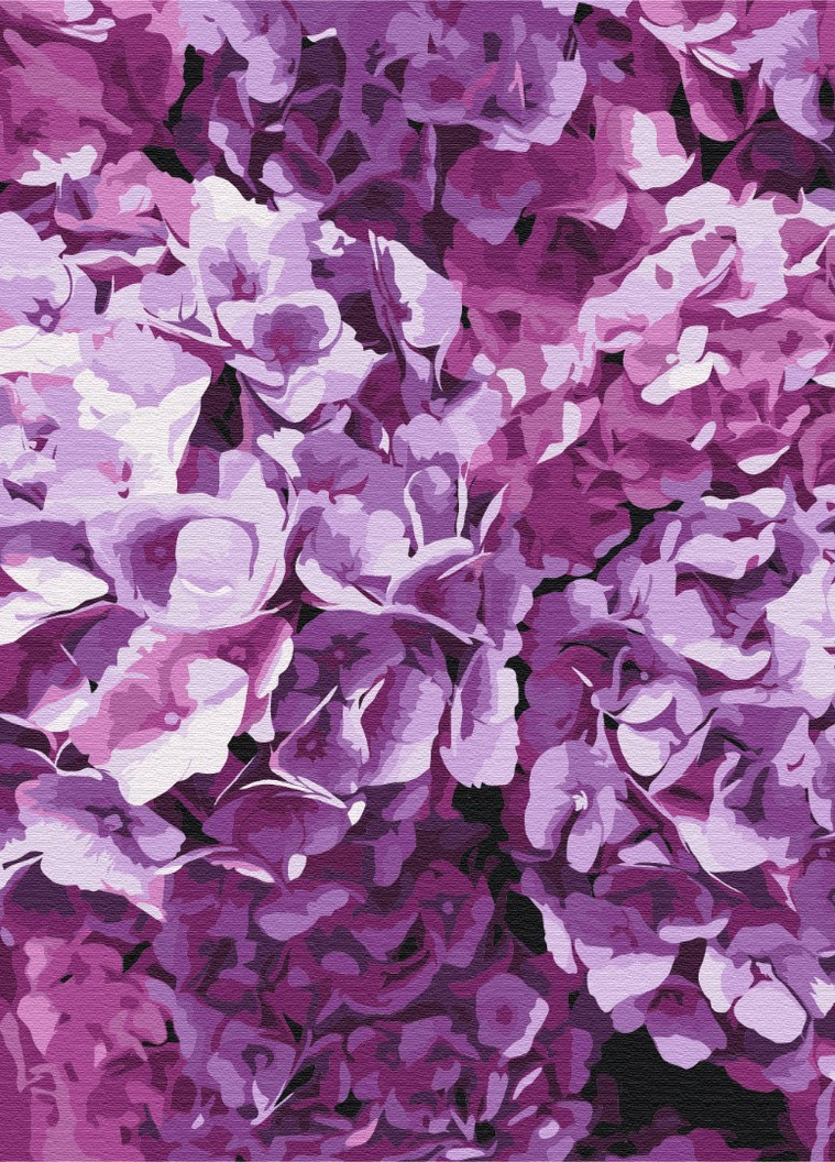 Картина за номерами Краса гортензій 40x50 см Brushme (257750528)