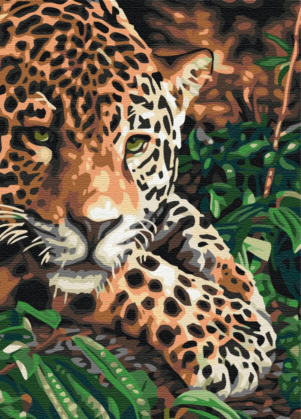 Картина по номерам Леопард с изумрудными глазами 40x50 см Brushme (257750307)