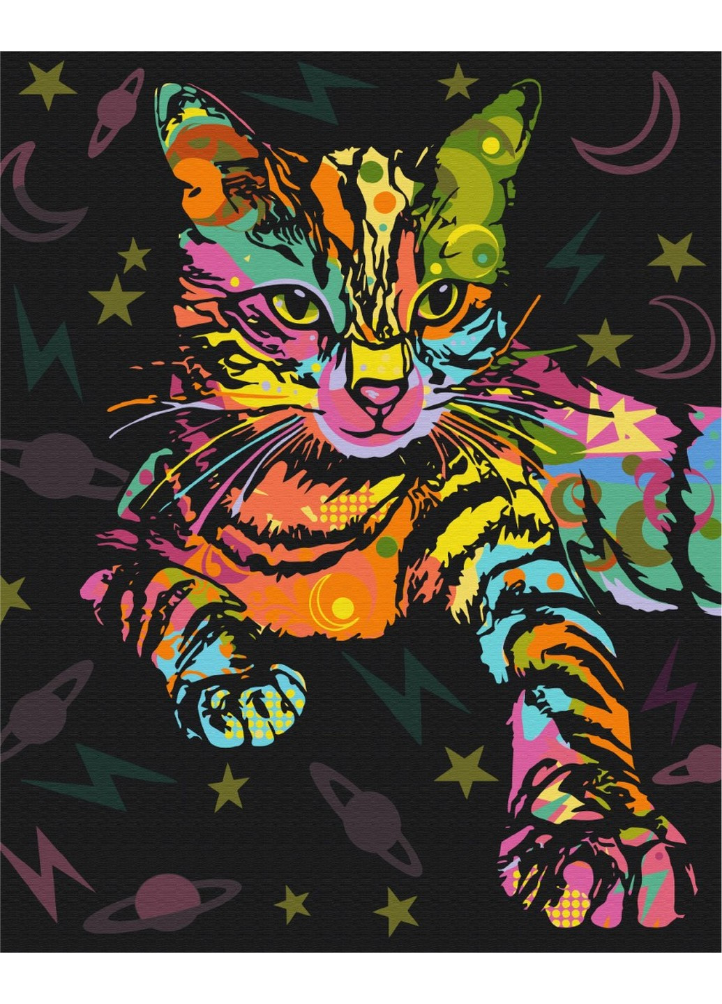 Картина за номерами Космічний кіт 40x50 см Brushme (257840985)