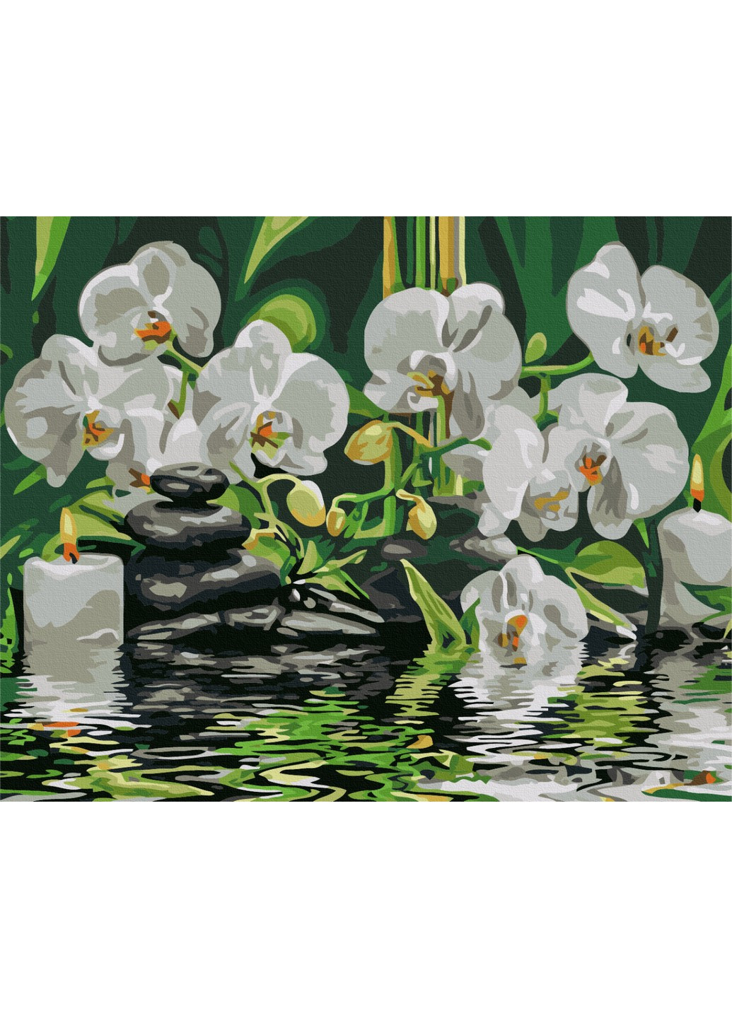 Картина за номерами Спокій біля орхідей 40x50 см Brushme (257840967)