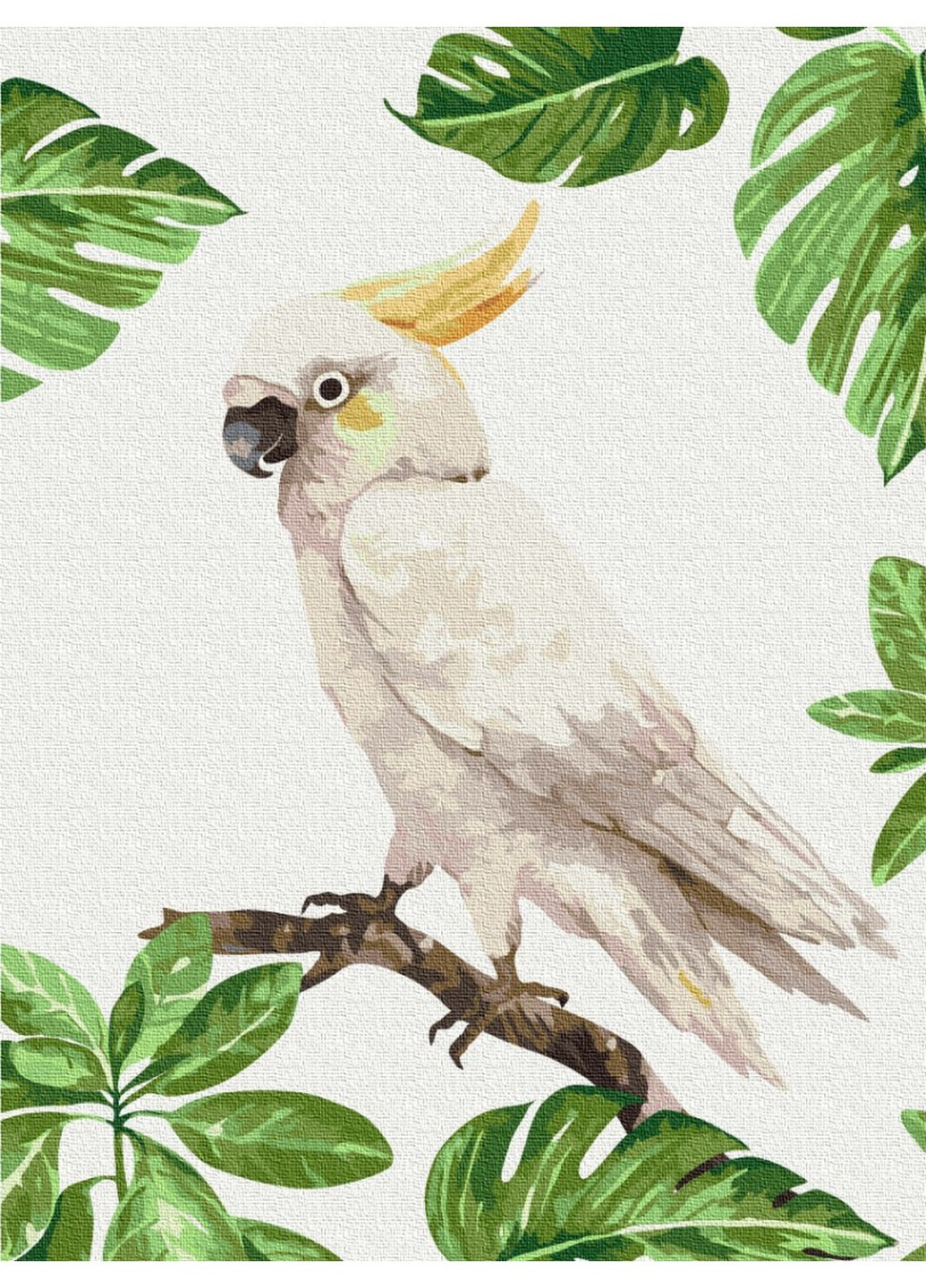 Картина по номерам Белая какада 30x40 см Brushme (257840959)
