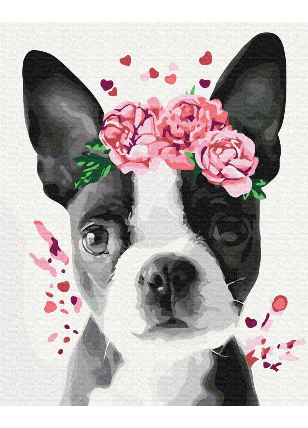 Картина за номерами Бостон тер'єр у віночку 40x50 см Brushme (257840939)