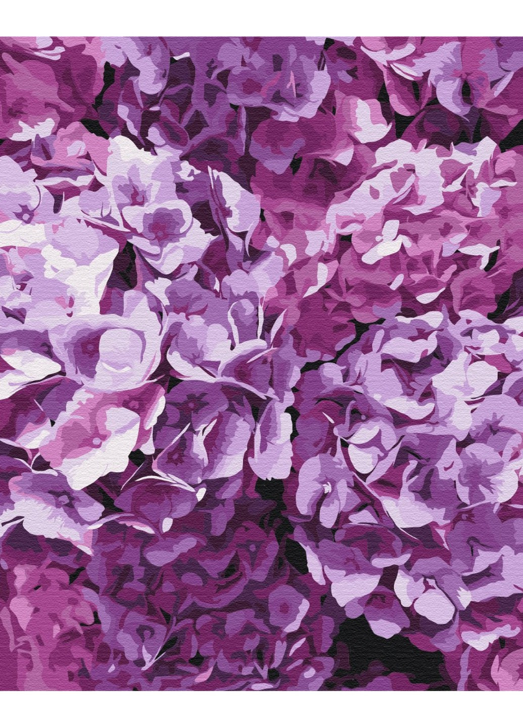 Картина за номерами Краса гортензій 40x50 см Brushme (257840779)