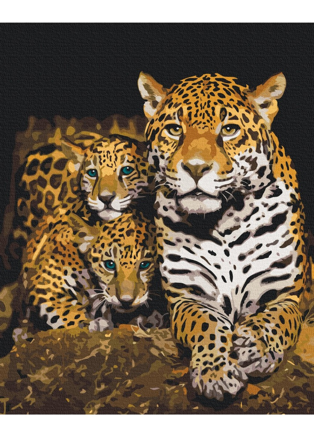 Картина за номерами Нічні леопарди 40x50 см Brushme (257840933)