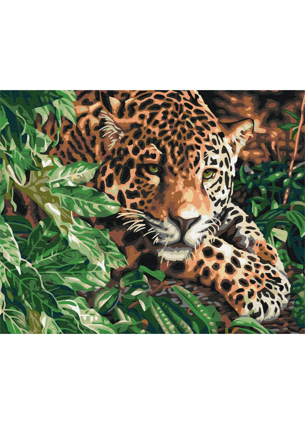 Картина по номерам Леопард с изумрудными глазами 40x50 см Brushme (257840823)