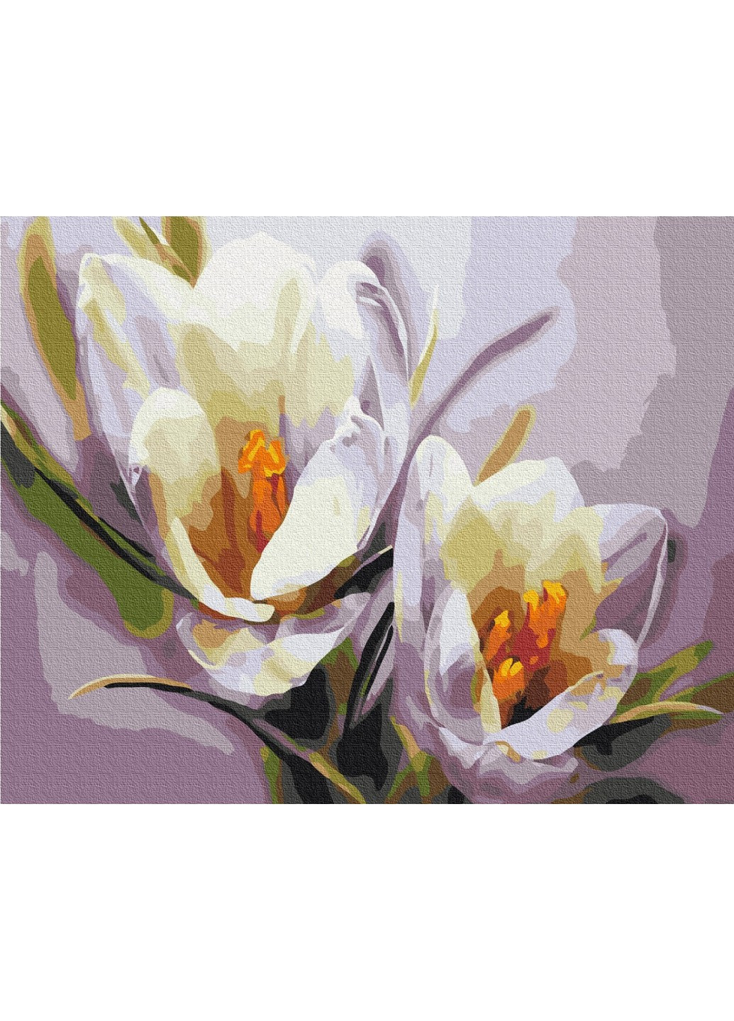 Картина по номерам Крокусы 40x50 см Brushme (257840715)