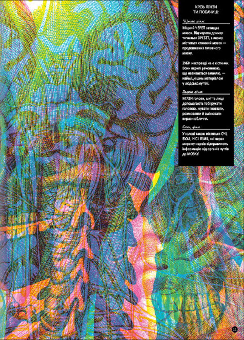 Прихований світ людського тіла - Кейт Дейвіс Книголав (257876425)