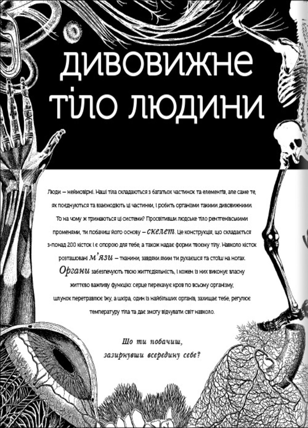 Прихований світ людського тіла - Кейт Дейвіс Книголав (257876425)