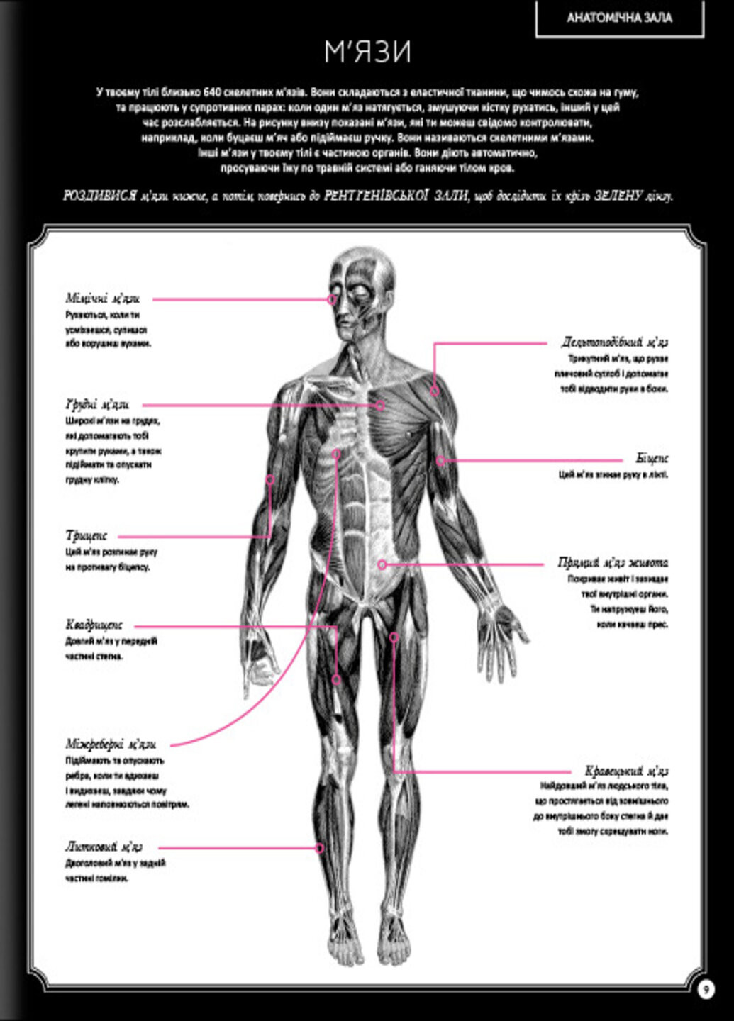 Прихований світ людського тіла - Кейт Дейвіс Книголав (257876425)