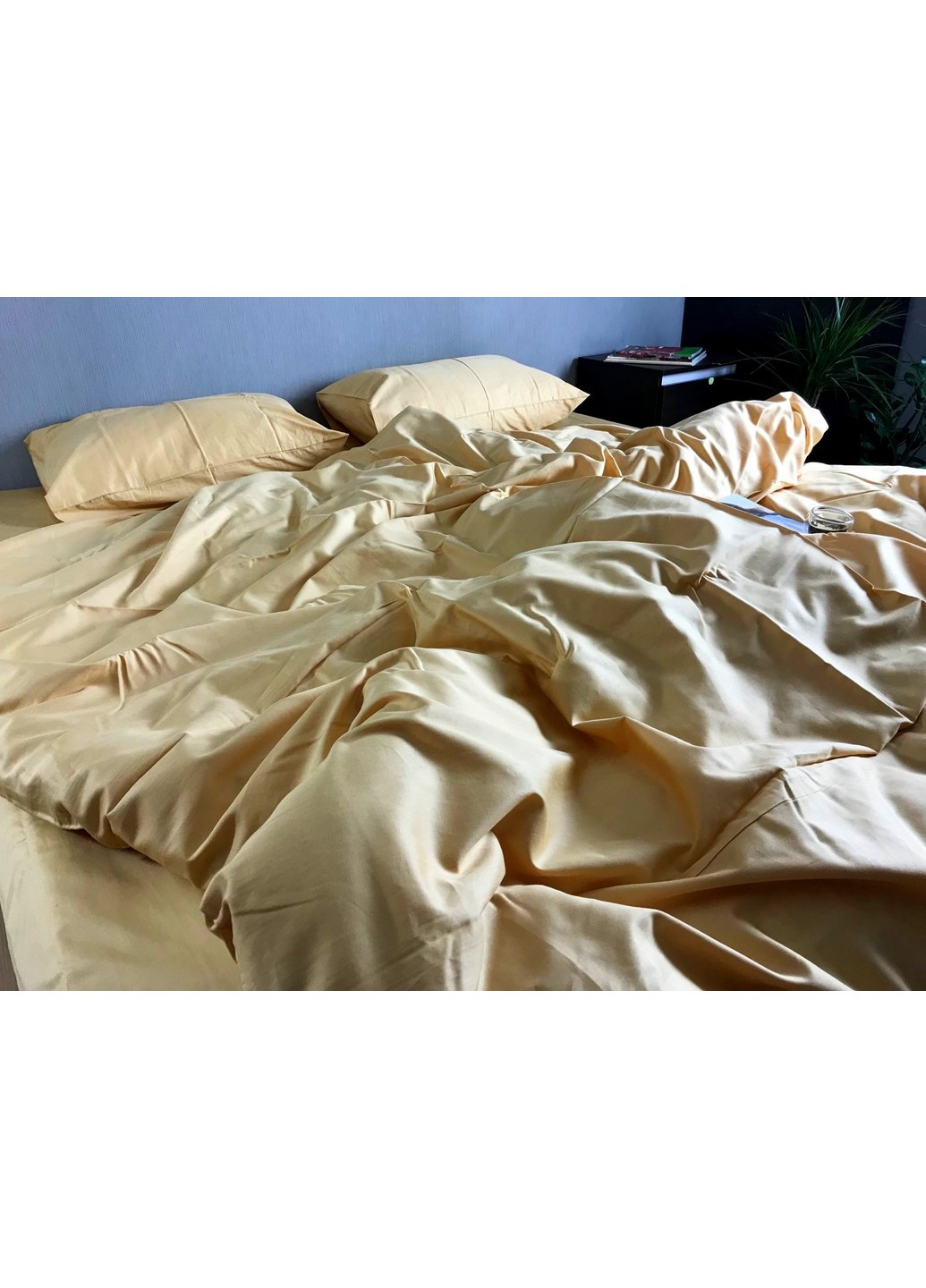 Постільна білизна Евро CottonTwill (257936755)