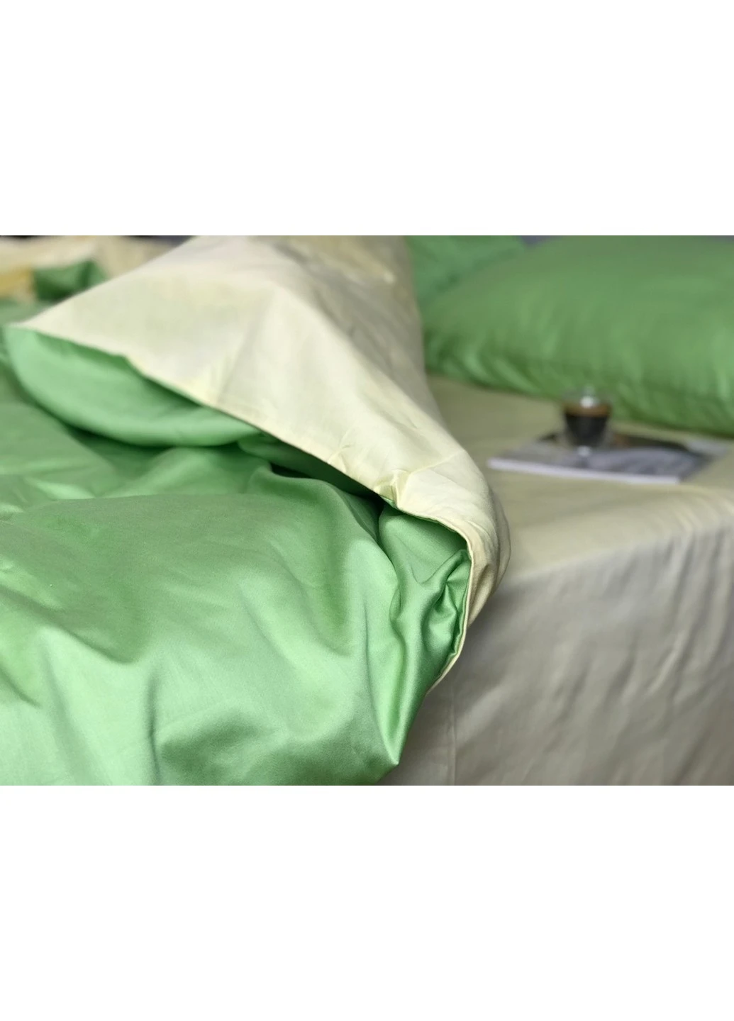 Постельное белье Евро CottonTwill (257936905)