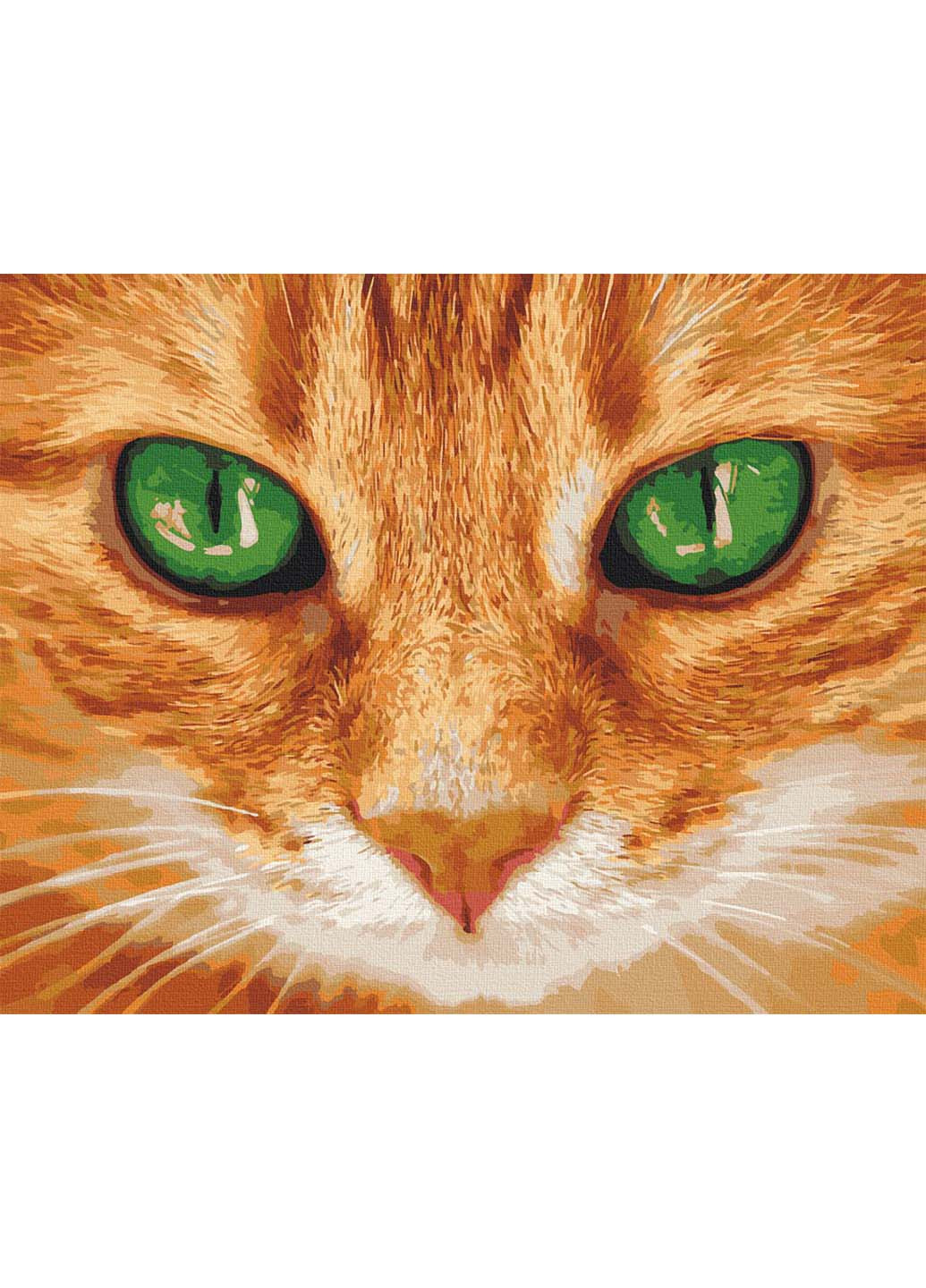 Картина по номерам Зелёные глаза 40х50 см Art Craft (258022108)